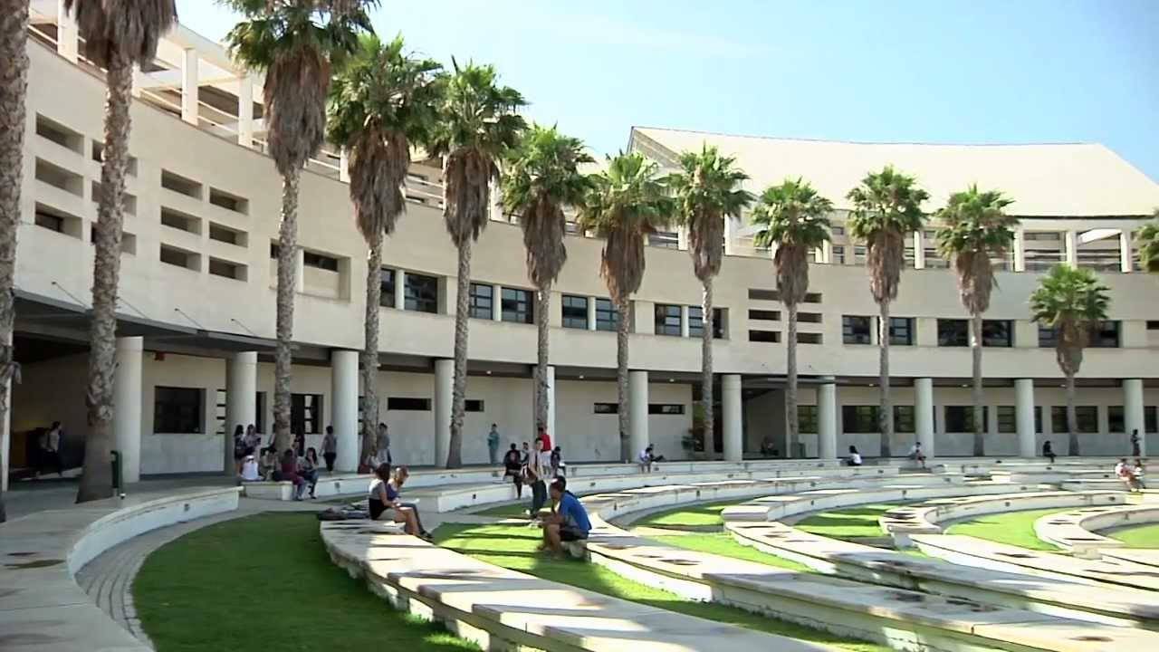 Популярные университеты мадрида