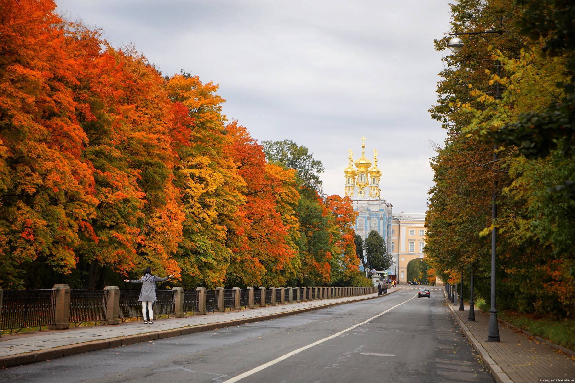 Солнечная осень в Питере