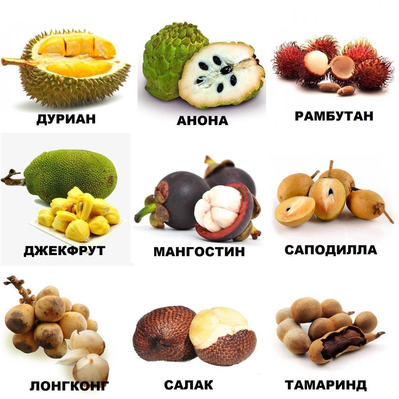20 экзотических фруктов со всего света, о которых вы не слышали :: инфониак