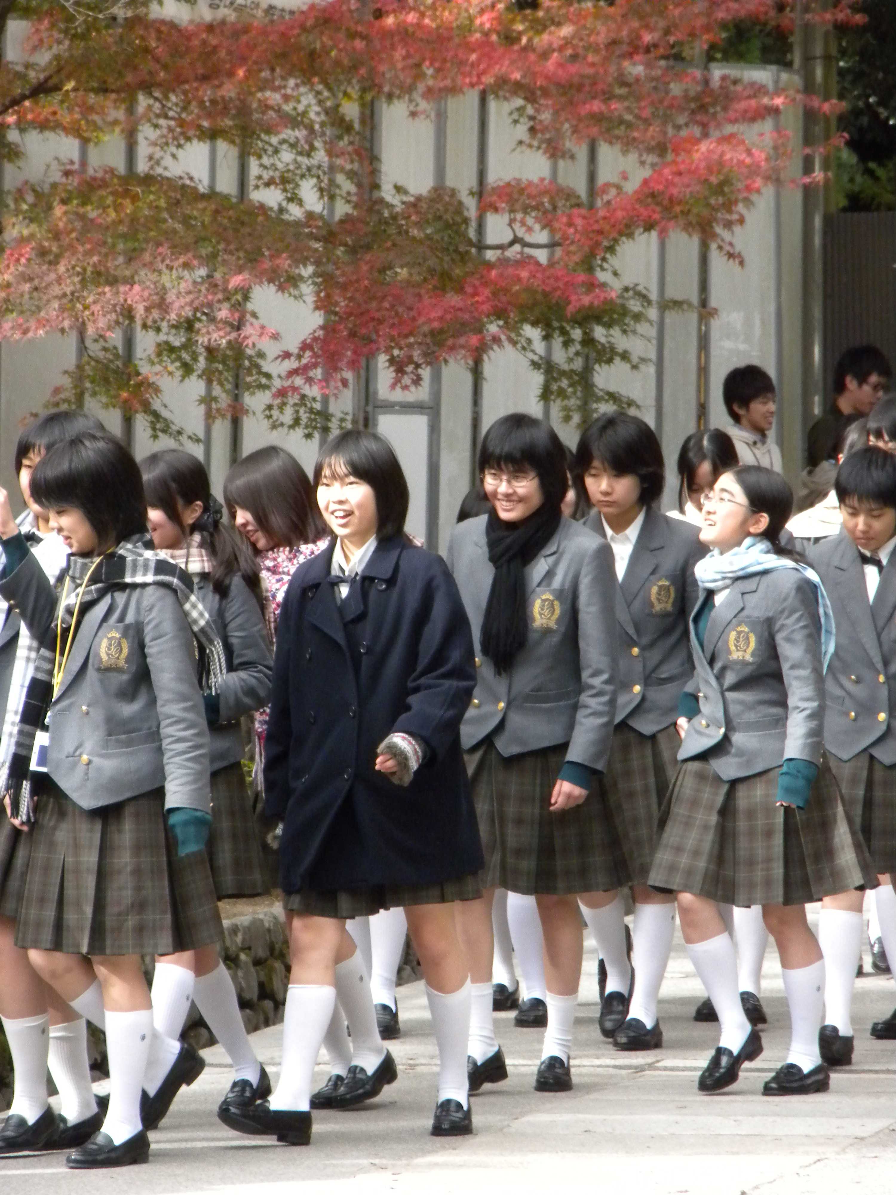 Система образования в японии: высшее, школьное и дошкольное