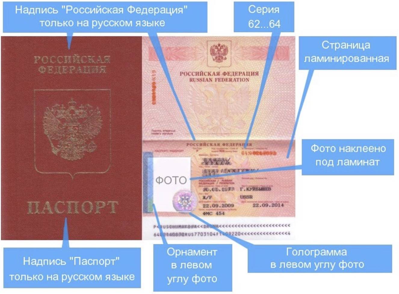 Где посмотреть номер и серию российского паспорта?