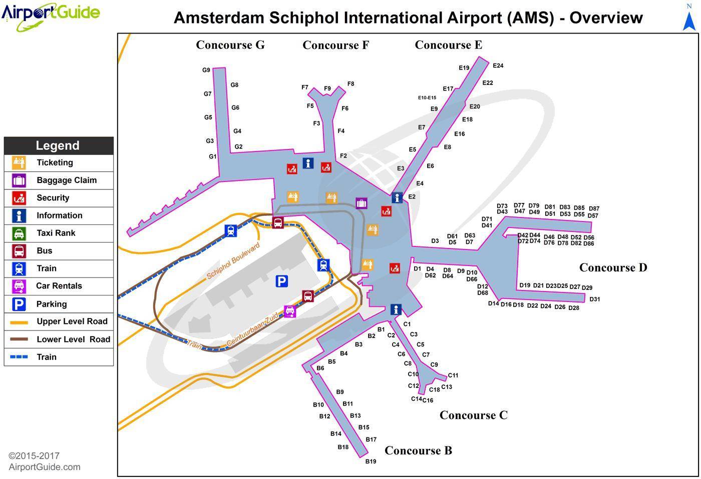 Транзитная виза при пересадке в амстердаме