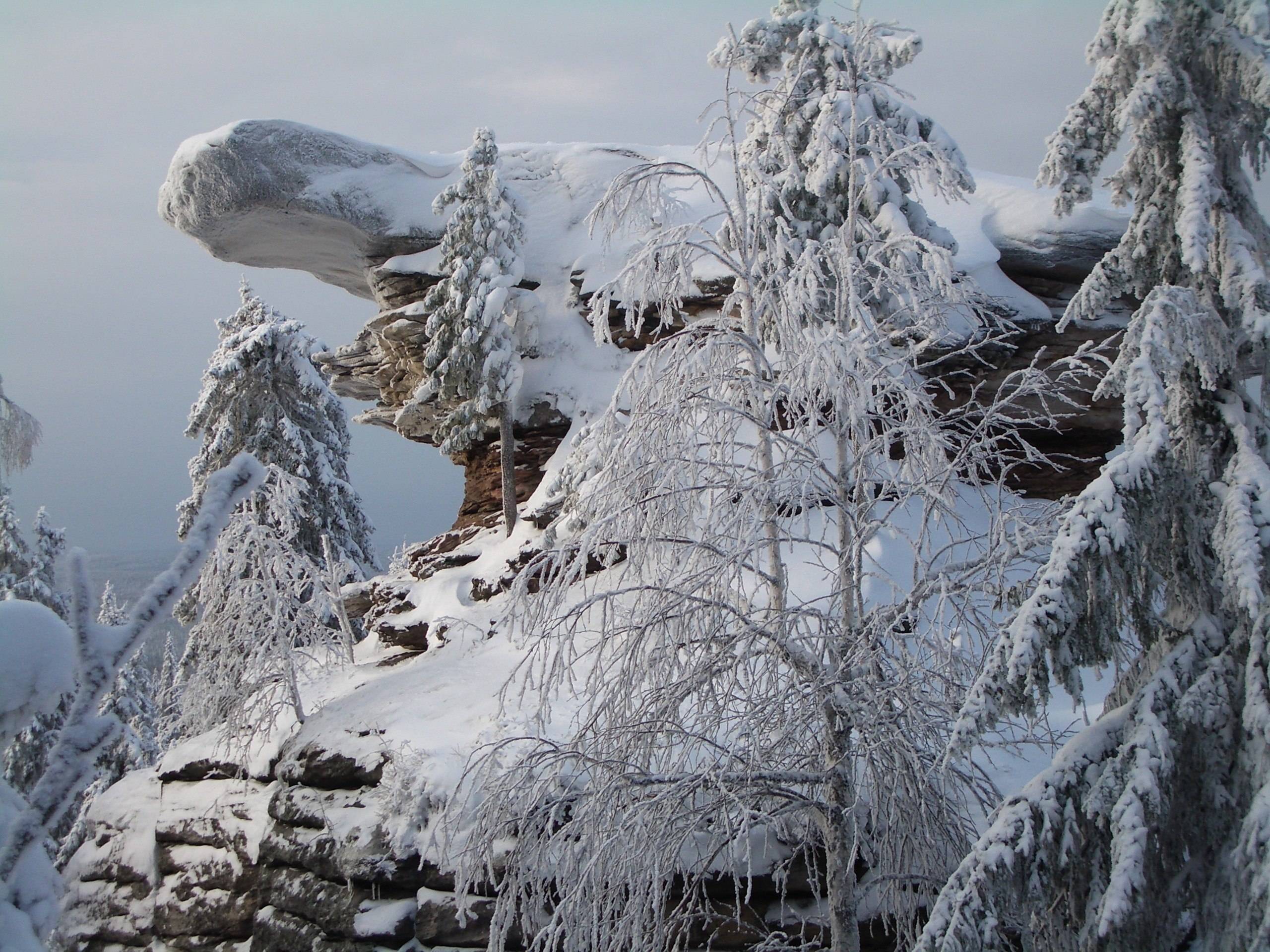 Пермь природа зимой