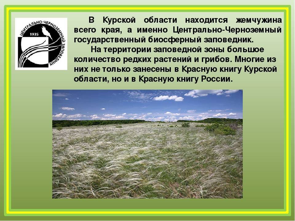 Презентация на тему "Животные Курской области"