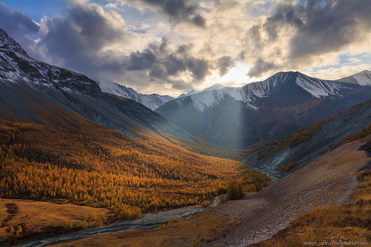 Золотые горы алтая: описание и фото :: syl.ru