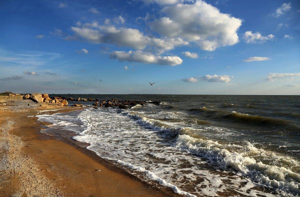 Азовское море: где чистое море, чистые пляжи? курорты азовского моря - gkd.ru