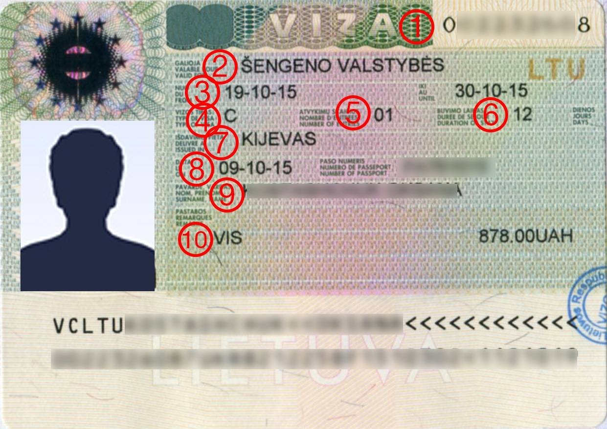Все о шенгенской визе, список стран и требования в 2023 году - блог astons
