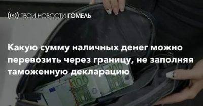 Сколько валюты можно вывозить из россии - знакомимся с таможенными правилами