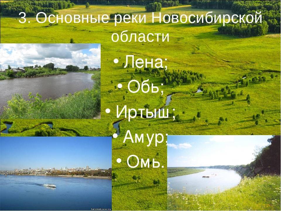 Какие водные объекты находятся в новосибирской области. Реки Новосибирской области. Реки и речушки Новосибирской области. Новосибирск реки и озера. Реки и озера Новосибирской области.