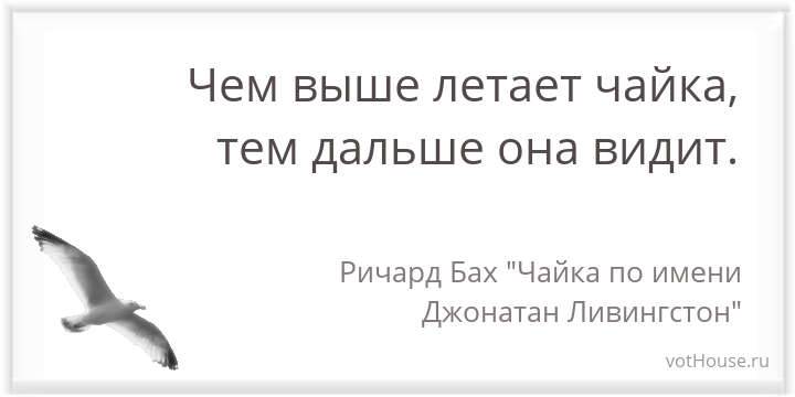 Птица счастья — поморский голубь или всё таки чайка?