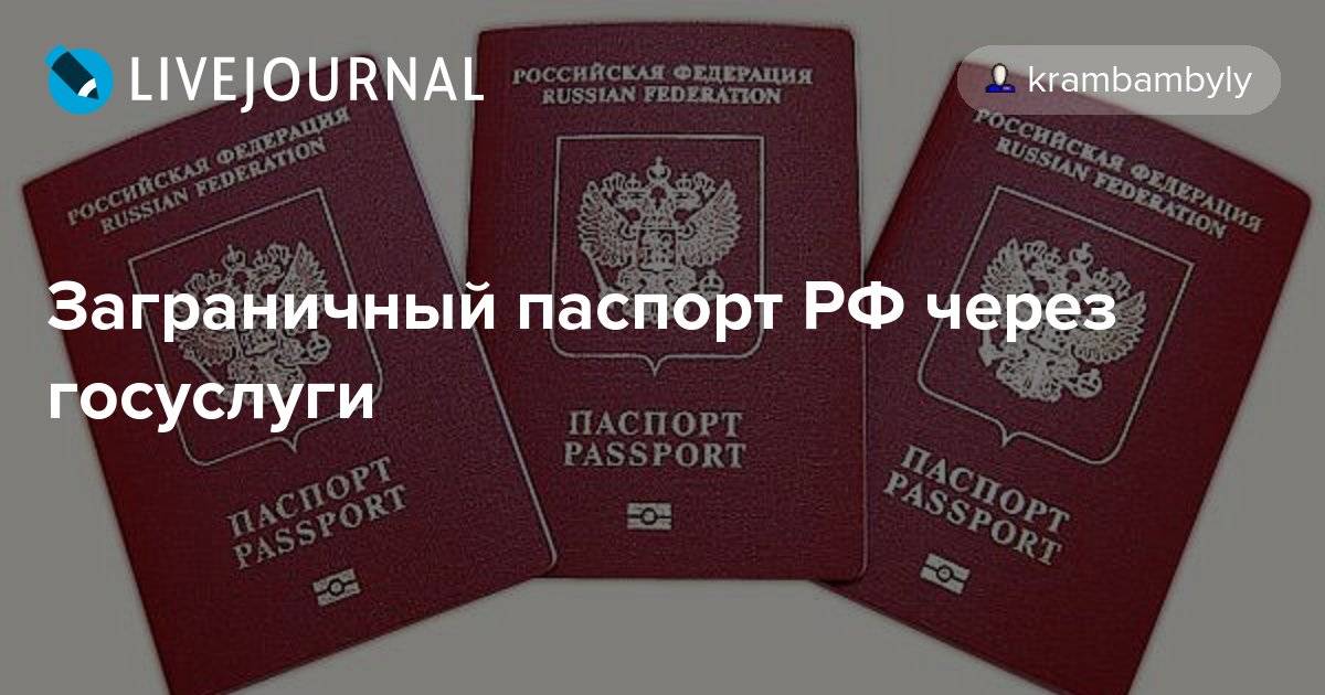Какие документы нужны на паспорт рф – мигранту рус