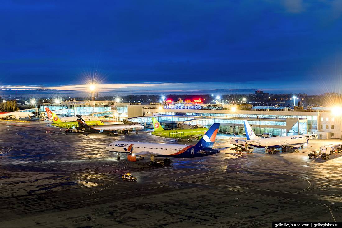Аэропорт толмачево новосибирск: официальный сайт