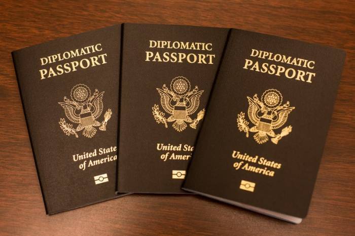 Дипломатический служебный паспорт гражданина рф: как его можно получить в 2021 году