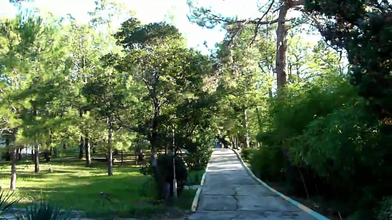 Фкуз "санаторий "сосновый" мвд россии",  п. сосновый, п/о "небуг-2" (oгрн 1022304918745, инн 2355004898, кпп 236501001) —  реквизиты,  контакты,  рейтинг