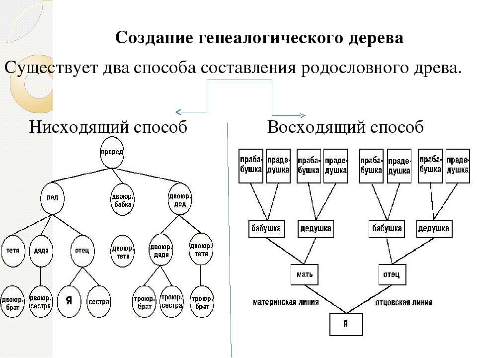 Родственные связи можно представить в виде схемы например на схеме ниже представлена семья