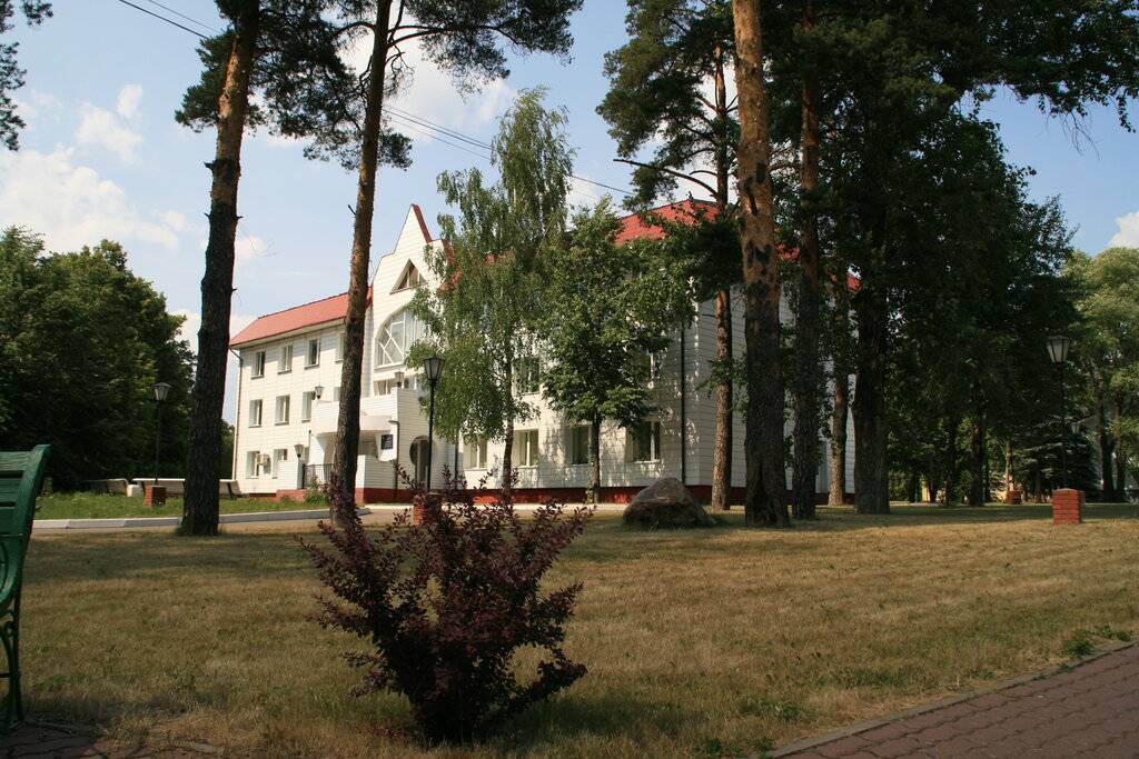 Фгбу "пансионат "солнечный" мчс россии", г. звенигород, инн 5015012008, контакты, реквизиты и выписка из егрюл