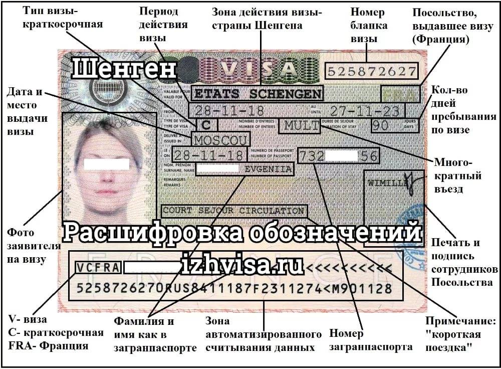 Номер шенгенской визы: где смотреть, расшифровка визы