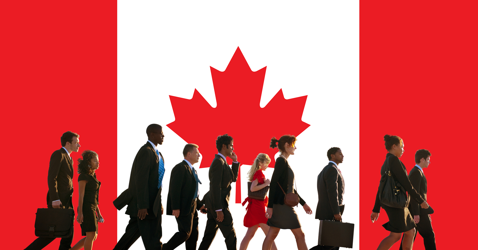 Startup visa canada: как во время пандемии перенести бизнес в канаду | rusbase