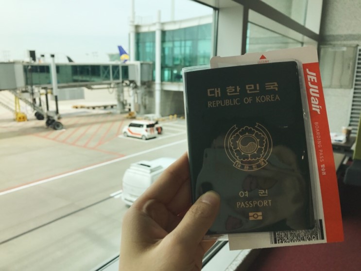 Оформление и получение гражданства южной кореи