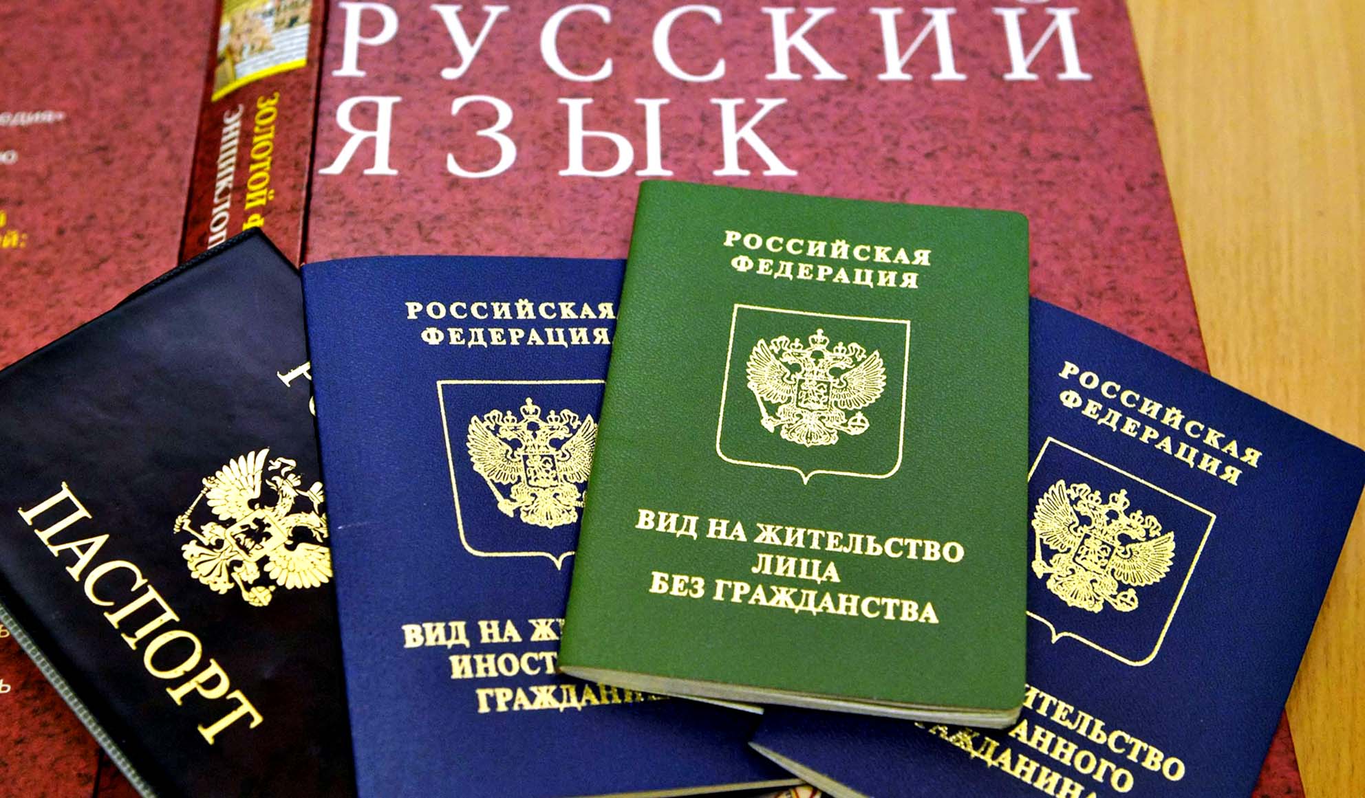 Как получить вид на жительство в россии: список необходимых документов и порядок процедуры