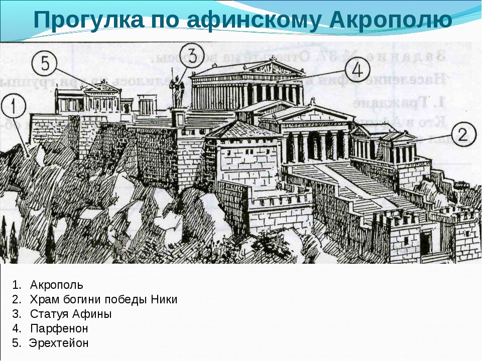 Опишите рисунок шествие на акрополь