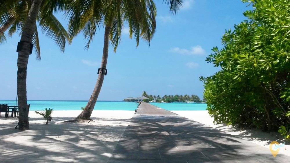 Когда ехать отдыхать на мальдивы: пляжный сезон по месяцам, выбор курорта