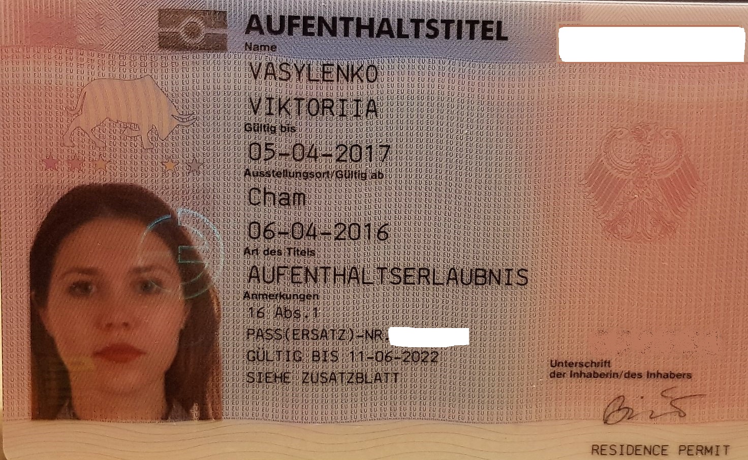 Внж в австрии: способы получения, документы, сроки