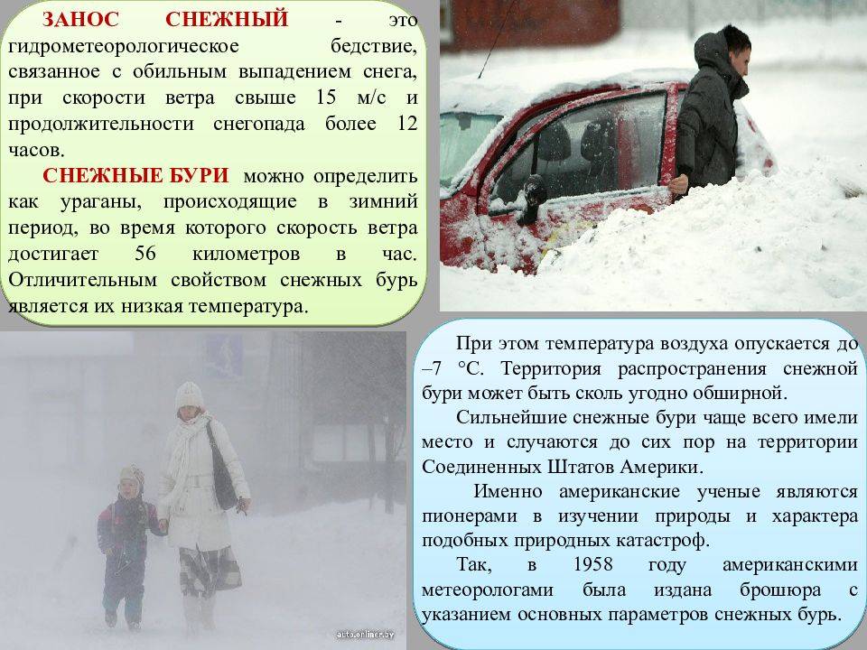 «вы не мерзнете?» почему москвич ходит зимой и летом в шортах | правмир