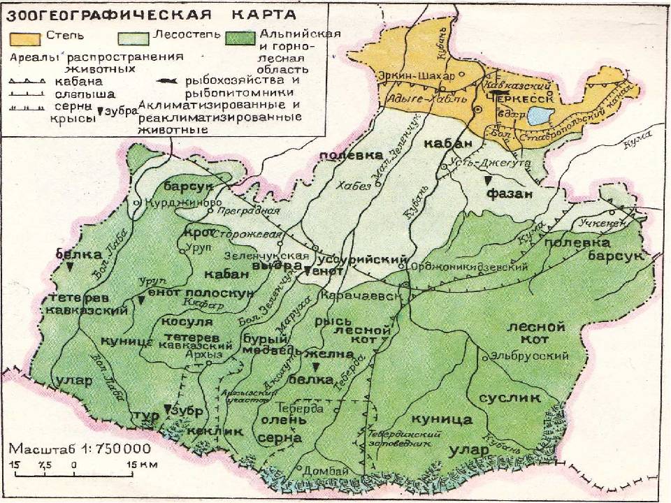Карачаево-черкесская республика