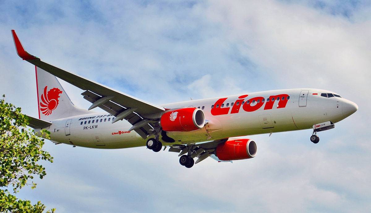 Lion air services inc: обзор авиакомпании лион эйр, преимущества и недостатки, предоставляемые услуги