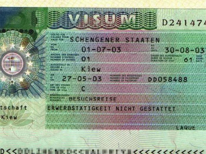 Дактилоскопия на шенген в 2023 году: с какого года и для чего нужны отпечатки пальцев на визу