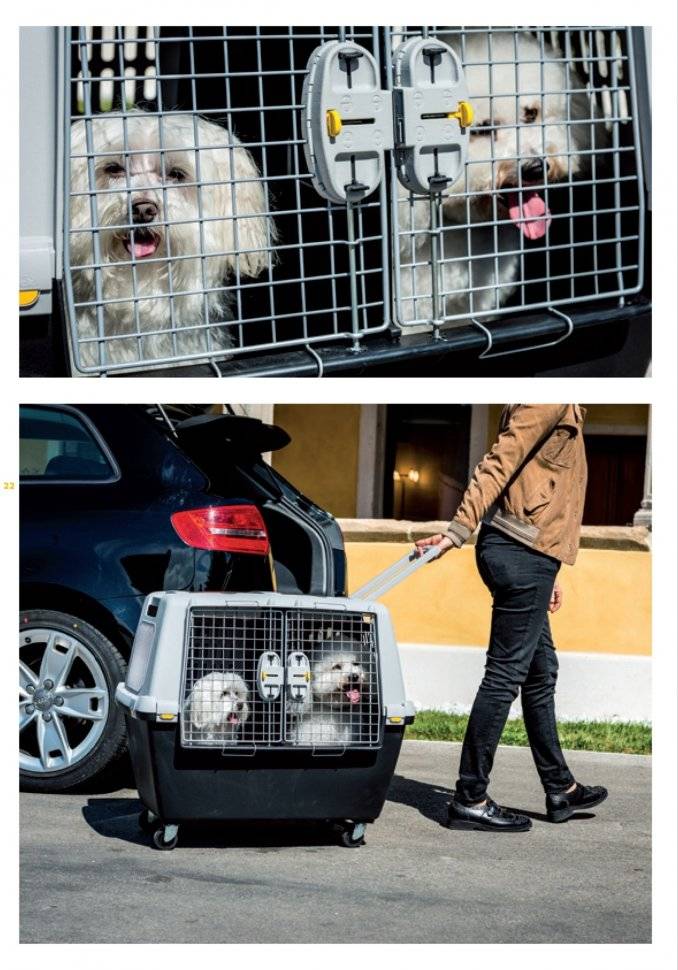 Перевозка собак в самолете: правила, необходимые документы, размеры переноски в 2019 году