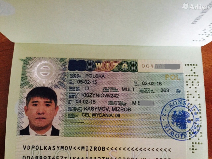 Виза киргиза