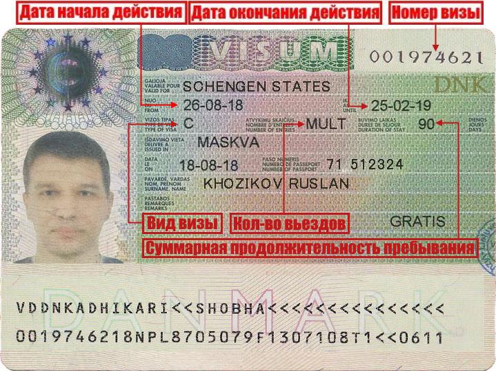 Виза в данию шенгенская для российских туристов, как получить разрешение на въезд в страну самостоятельно, сколько стоит консульский сбор, список необходимых документов