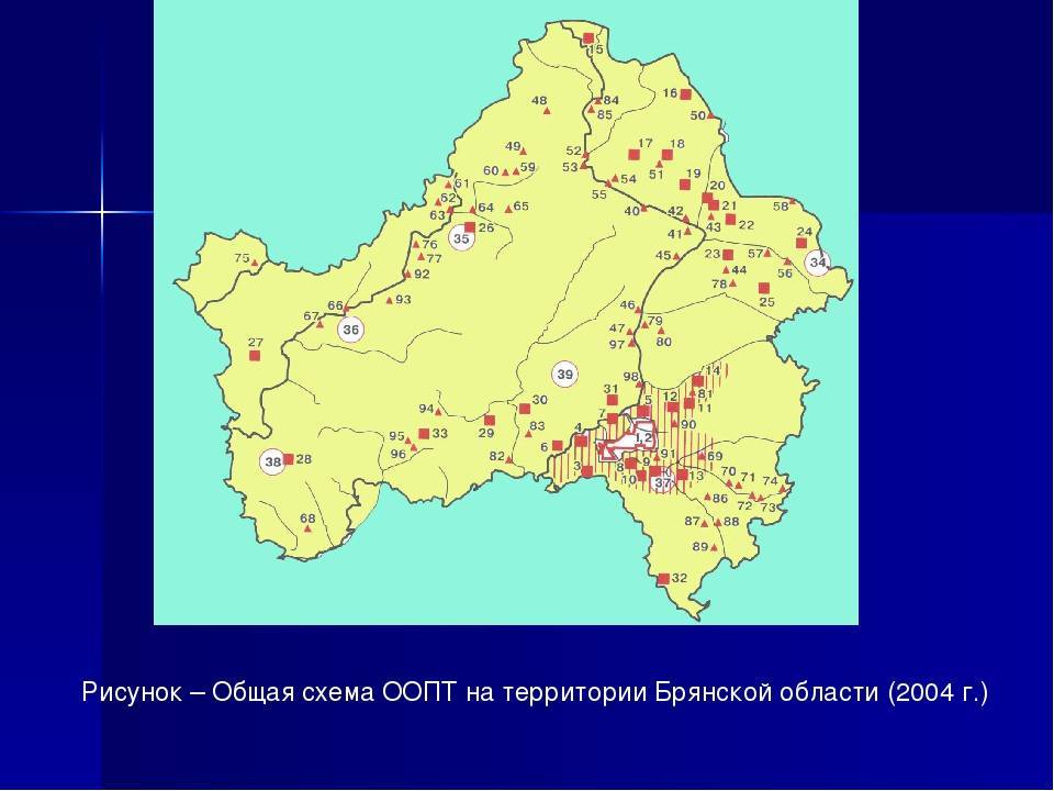 Заповедник «брянский лес» в брянской области — официальный сайт, фото, где находится, на карте, адрес, как доехать