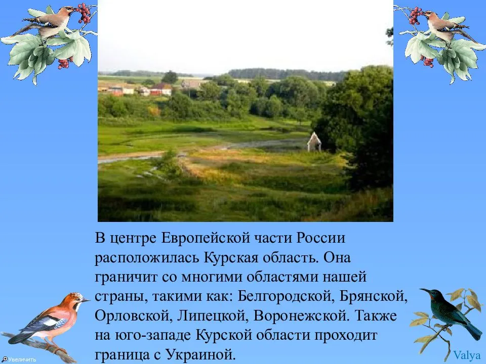 Разнообразие природы курского края 3 класс окружающий мир проект