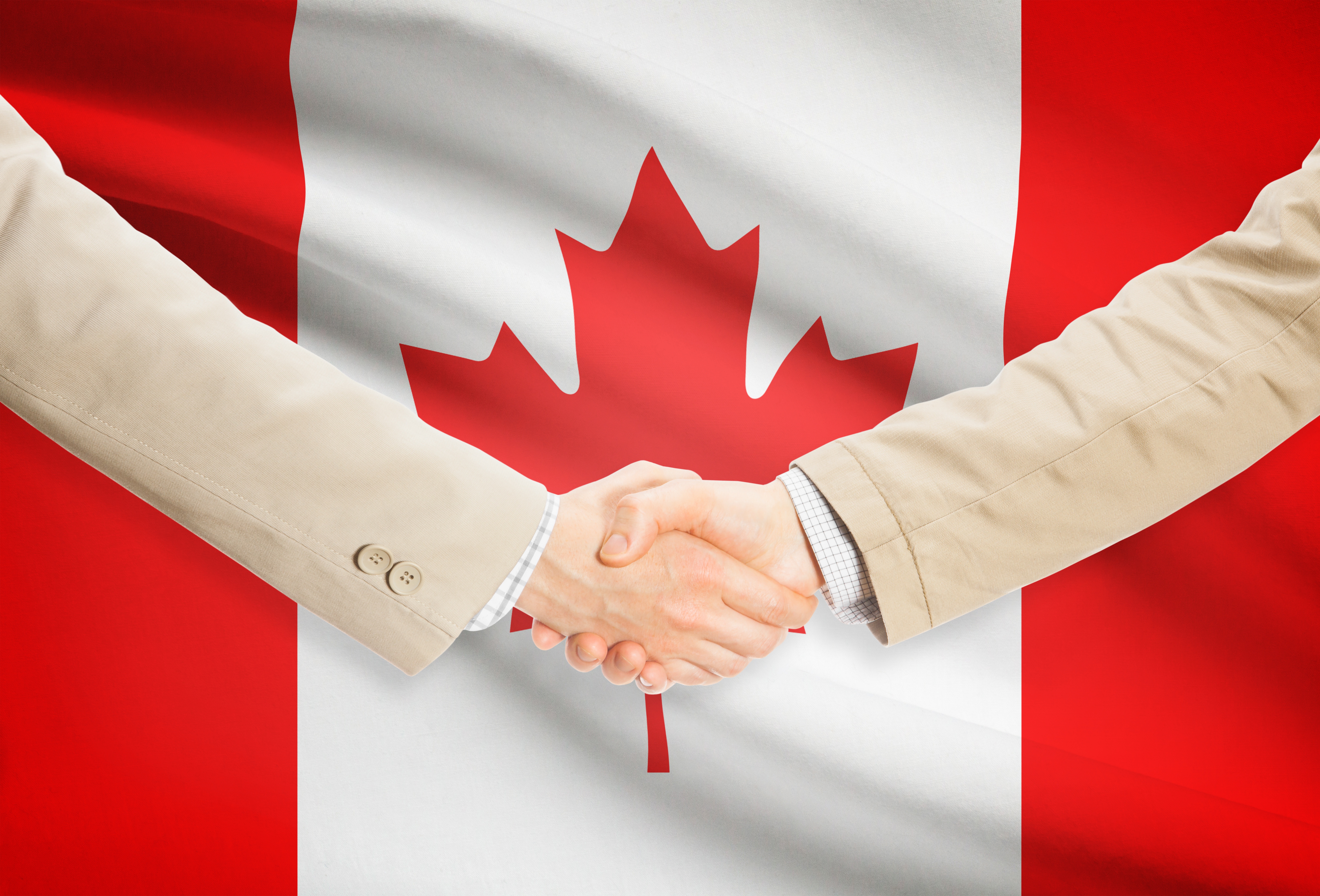 Как открыть бизнес в канаде 2021 году — все о визах и эмиграции