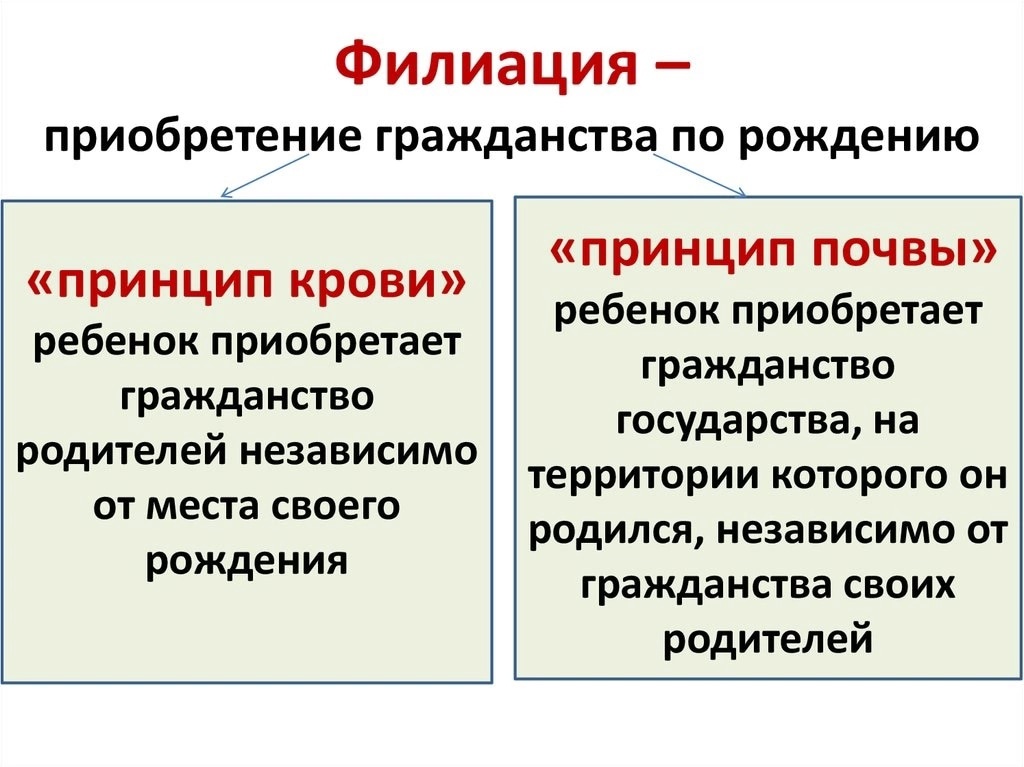 На рисунке изображен принцип приобретения гражданства по праву