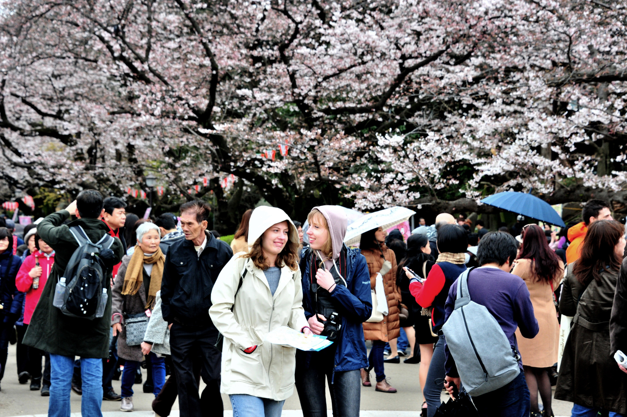5 правил, о которых не стоит забывать туристам в японии | migrantvisa | дзен