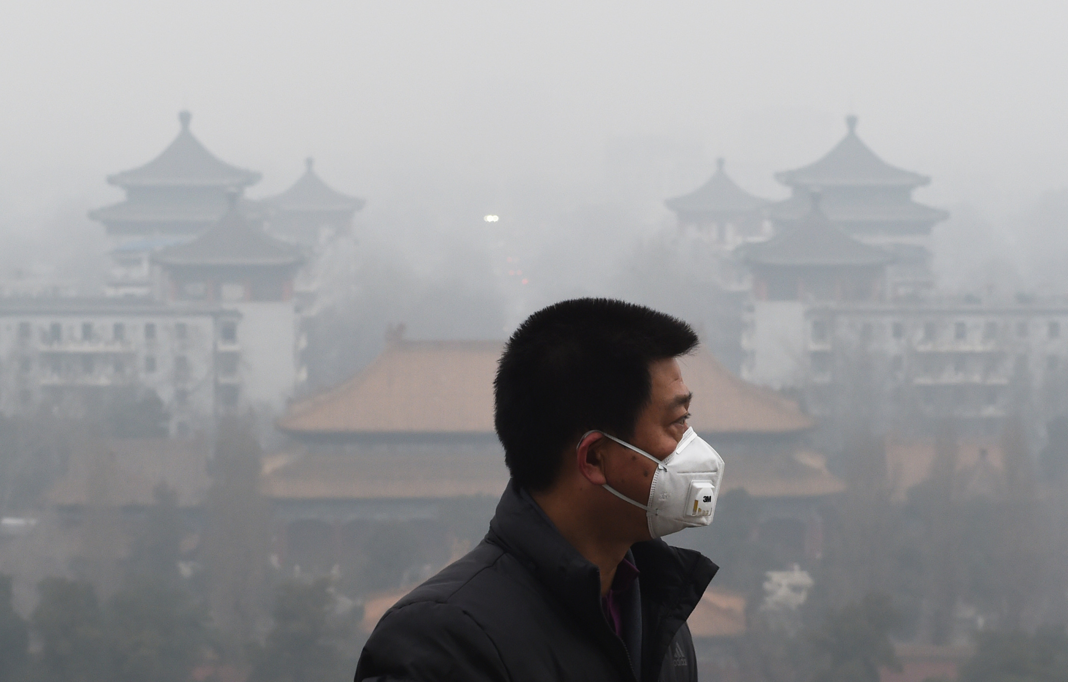 Экологические последствия загрязнения атмосферы