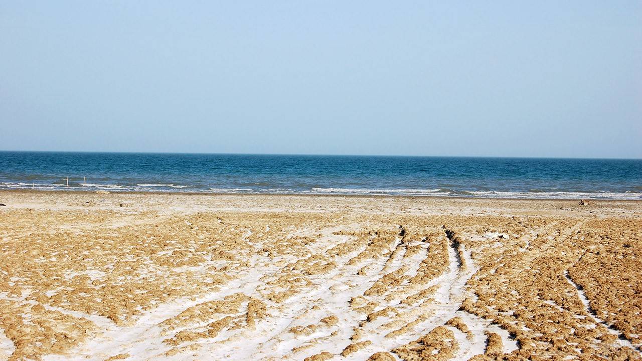 Аральское море сейчас: причина исчезновения, расположение на карте, история