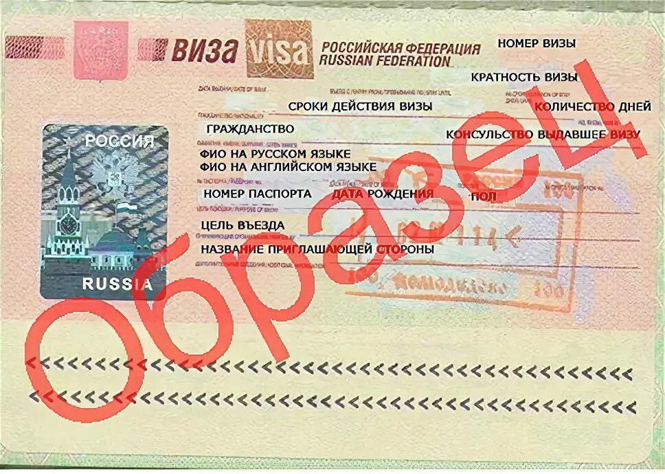 Виза шенген: загранпаспорт старого образца или нового