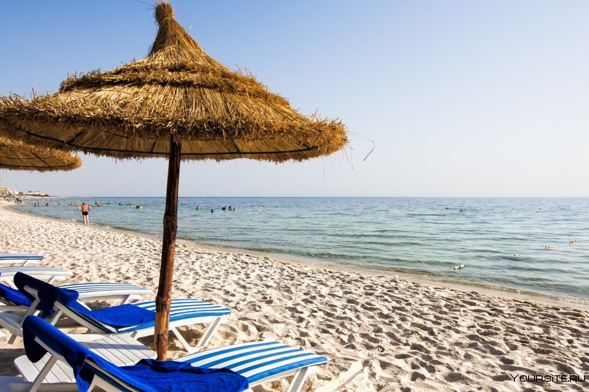 Где лучше отдыхать в тунисе? обзор 5 курортов и пляжей — 2022