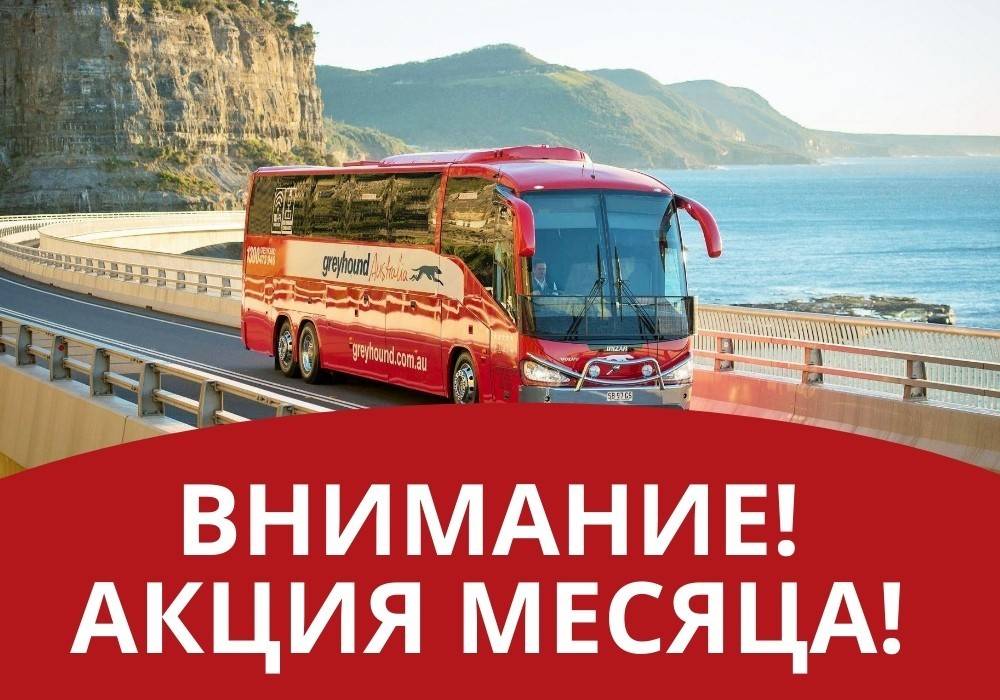 Автобусом к морю из владимира. Volvo Bus 2022. Автобусный экскурсионный тур. Автобусная экскурсия. Туристический автобус.