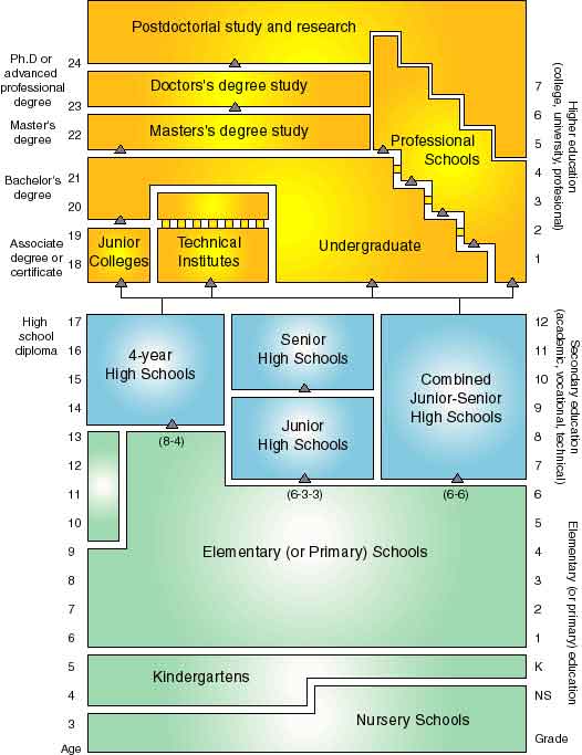 Система образования в сша в 2023 году: этапы и особенности