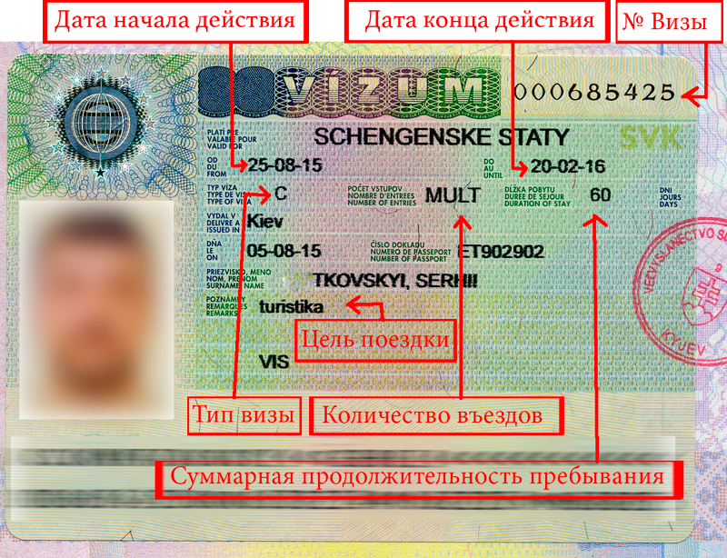 Шенгенская виза 2022: какие страны выдают туристам