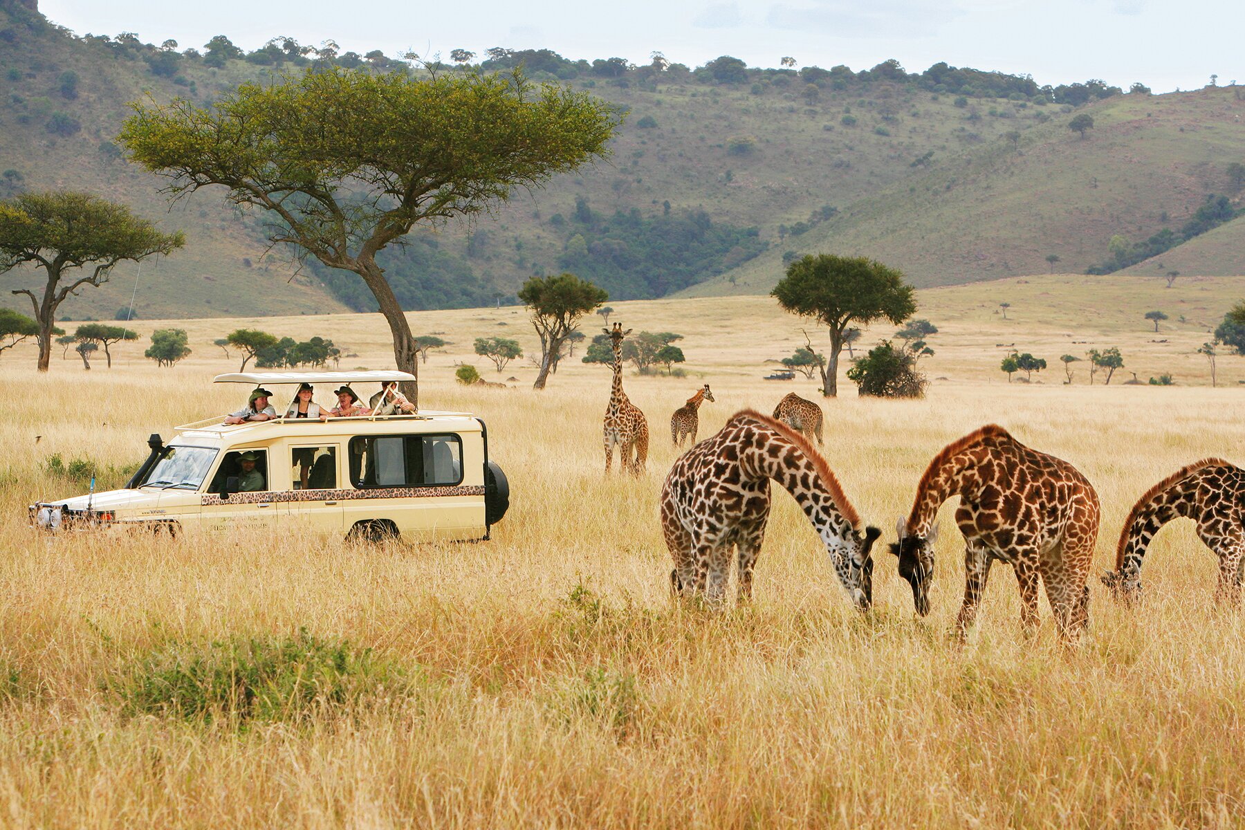 Отдых в кении: виды и сезоны отдыха в 2023 году