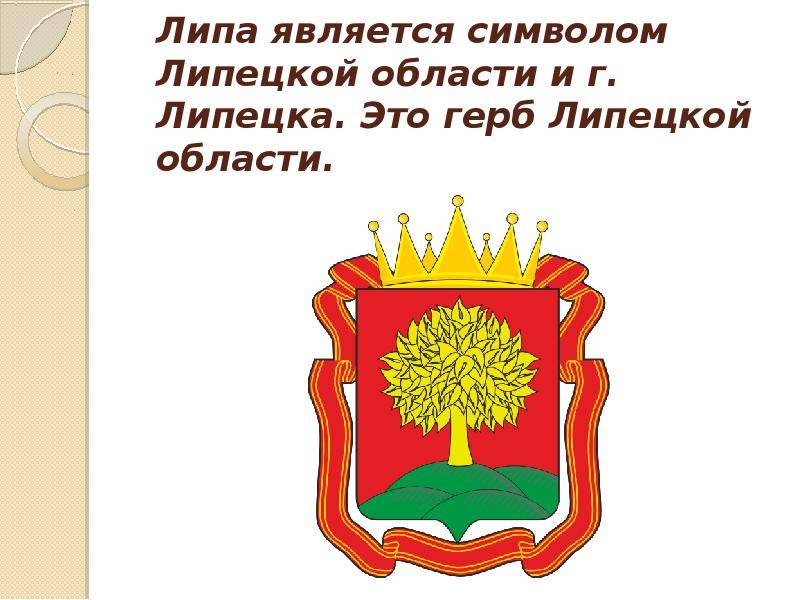 День города липецк: история и символика