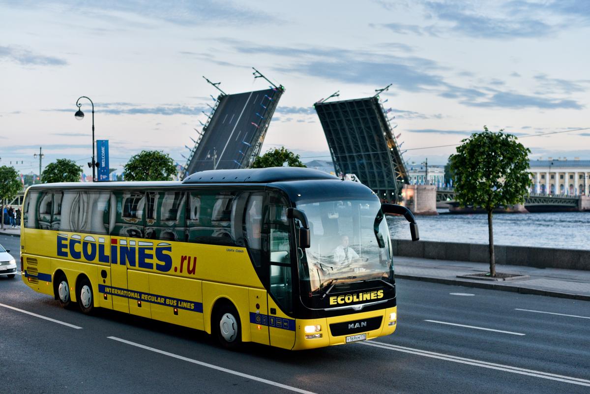 Автобусная сеть ECOLINES: скорость, надежность, комфорт