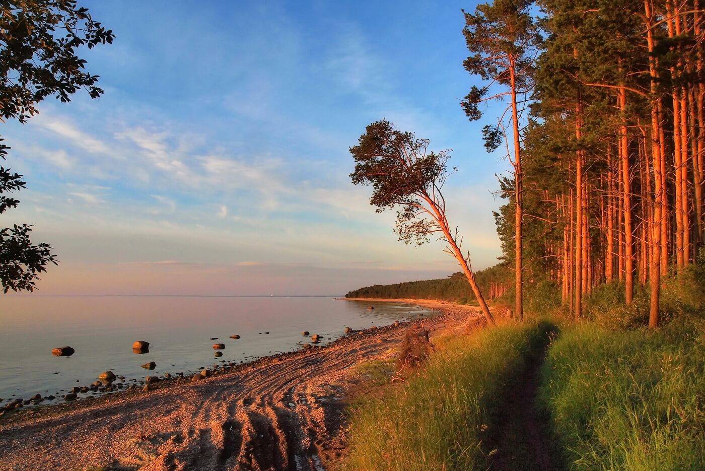 Сосновый Бор Ленинградская область финский залив